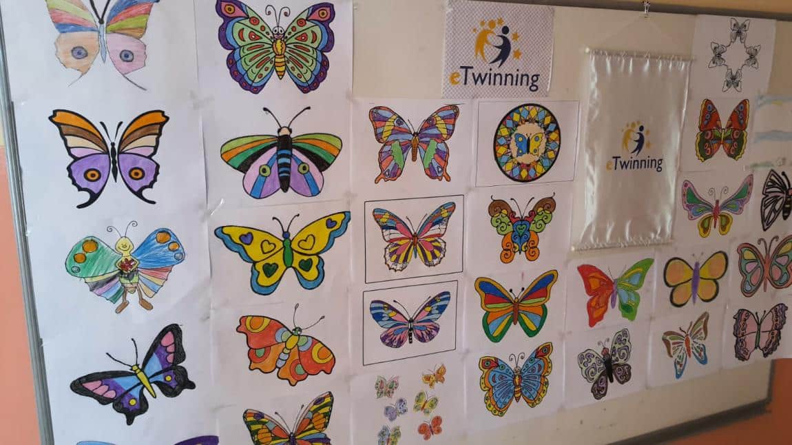 Litlle butterflies Journey adlı etkinliğimizin pano çalışması öğrencilerimizin çizimleri sergilendi